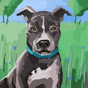 Meet your Posher, Jennie